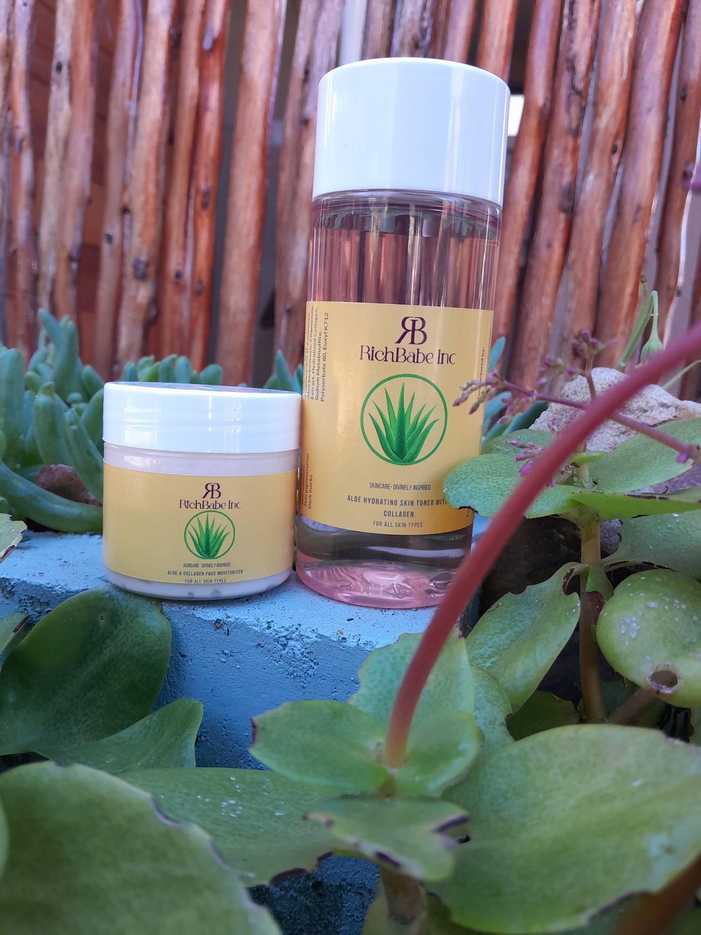 Aloe & Collagen Toner + Aloe & Collagen Moisturizer