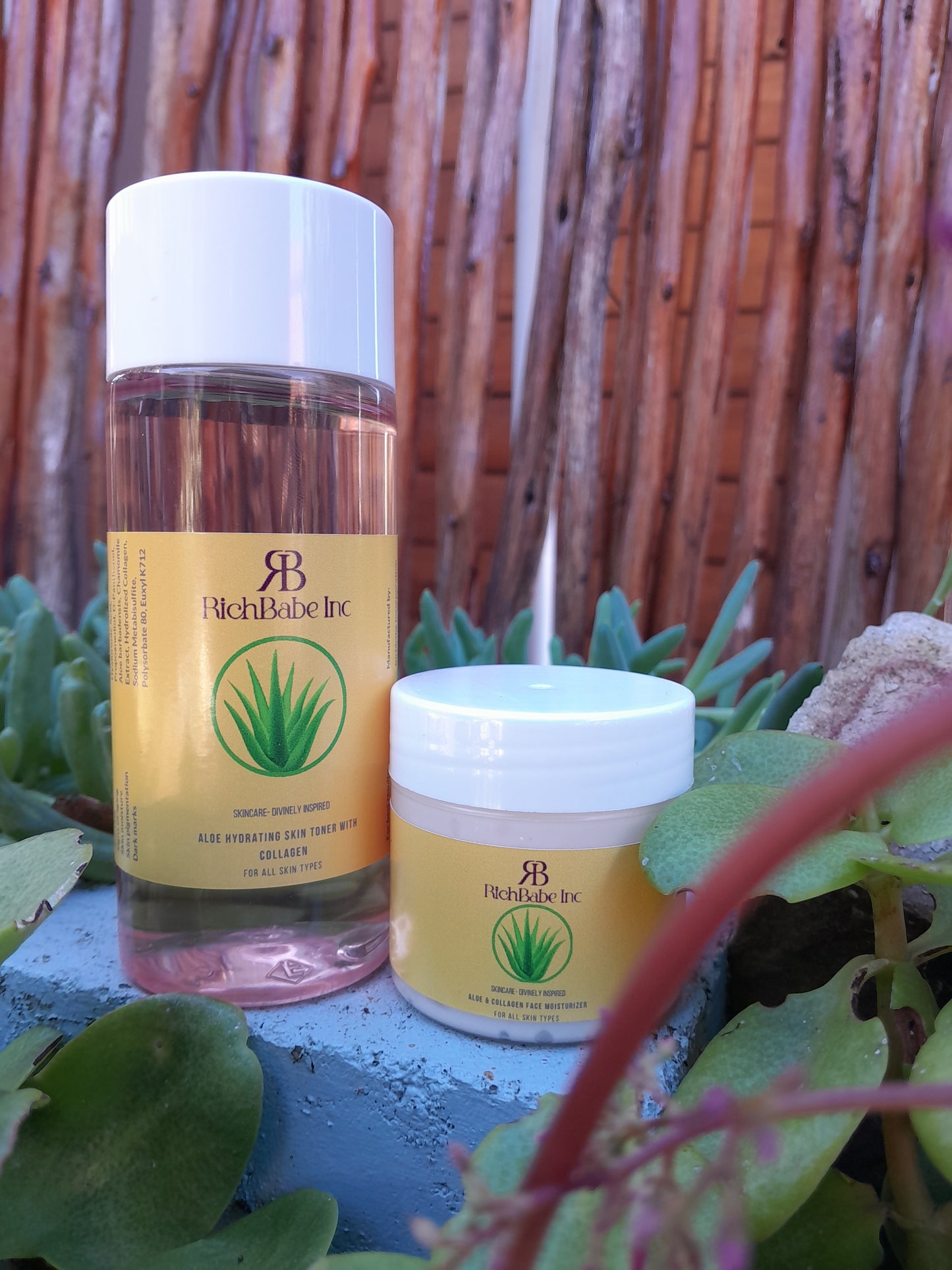 Aloe & Collagen Toner + Aloe & Collagen Moisturizer