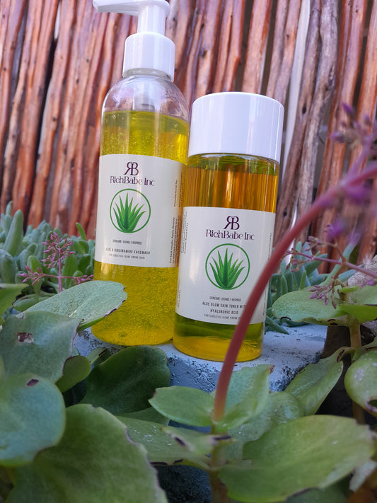 Aloe & Niacinamide Facewash + Aloe & Hyaluronic Acid Toner