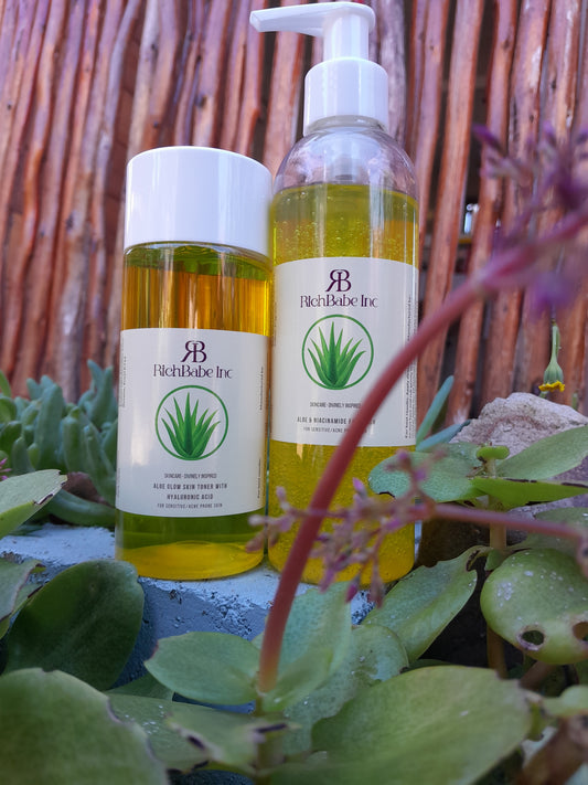 Aloe & Niacinamide Facewash + Aloe & Hyaluronic Acid Toner